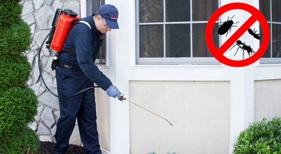 Suruç Böcek İlaçlama böcek ilaçlama ve haşere kontrolü — ilaclama-tr.com